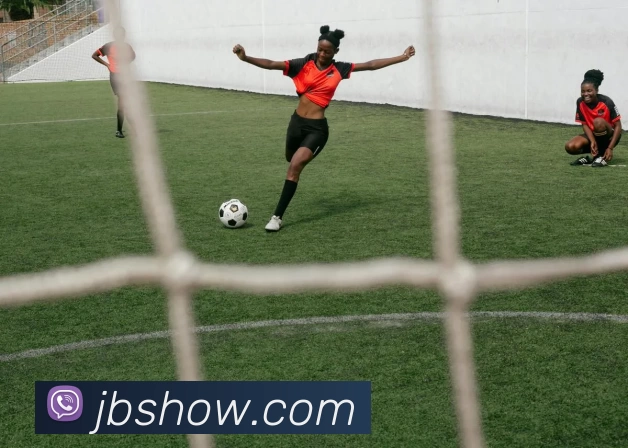 佳博体育官网APP 高清赛事图